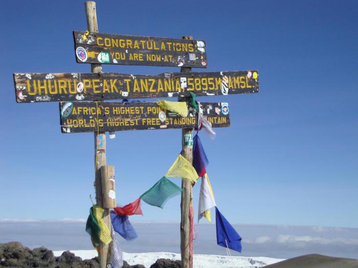 Mighty Kilimanjaro Lemosho Rt. travel with Earthy Hues